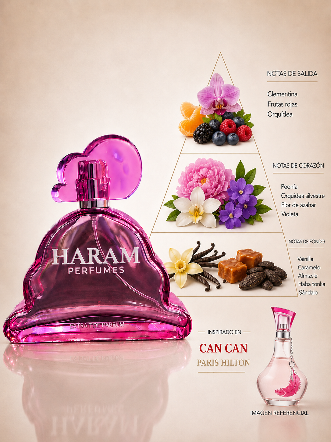 INSPIRADO EN CAN CAN- PARIS HILTON